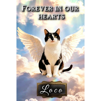 Still With Me — Custom Pet Memorial Song & Pet Loss Grief Guide