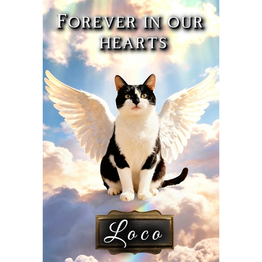Still With Me — Custom Pet Memorial Song & Pet Loss Grief Guide